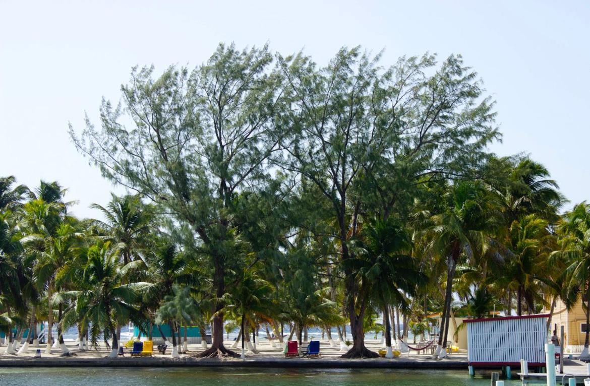 Blue Marlin Beach Resort Dangriga Exteriör bild