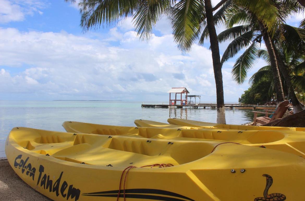 Blue Marlin Beach Resort Dangriga Exteriör bild