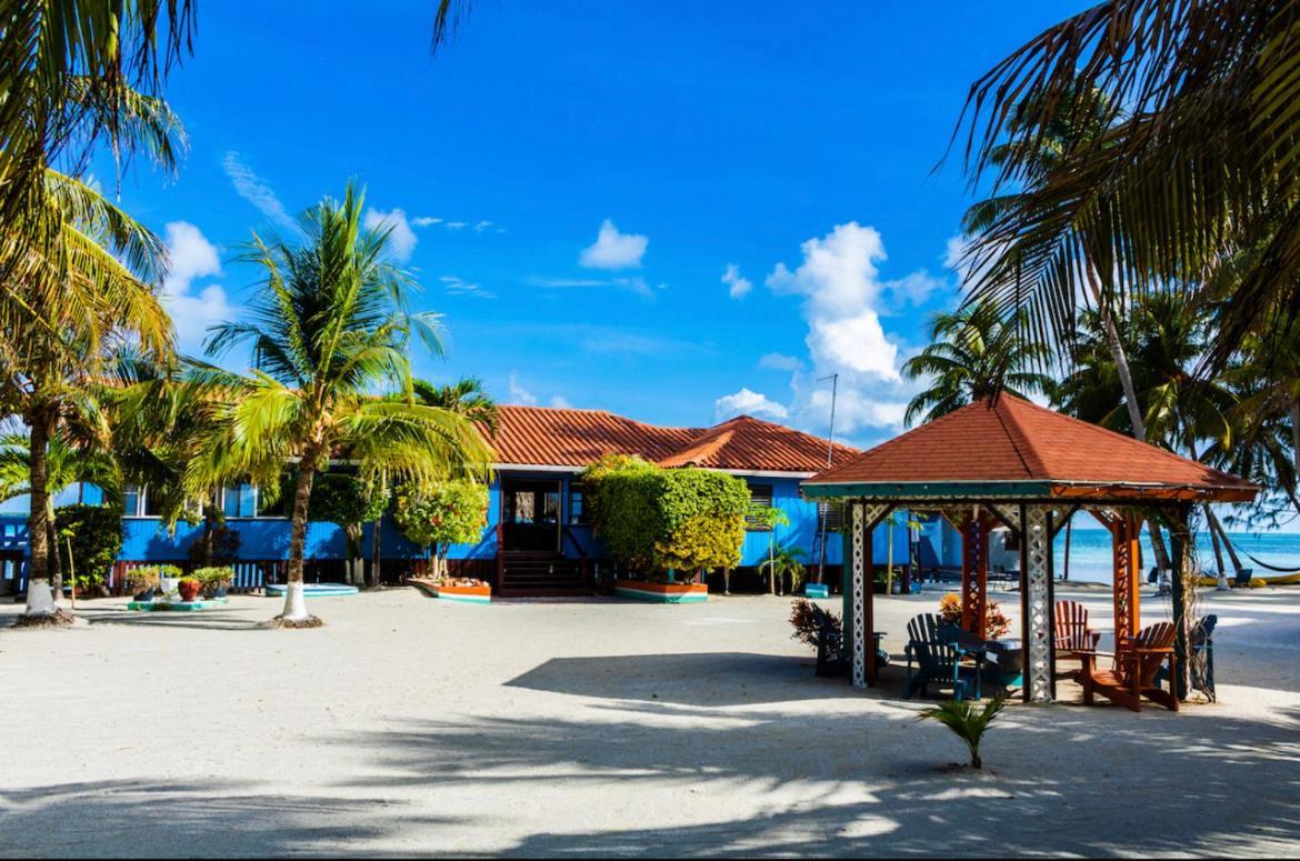 Blue Marlin Beach Resort Dangriga Exteriör bild
