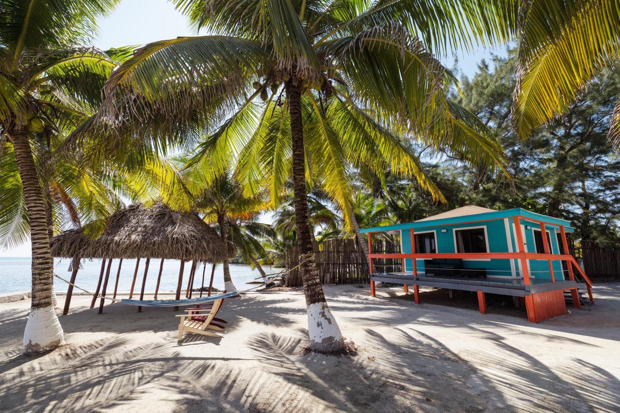 Blue Marlin Beach Resort Dangriga Exteriör bild