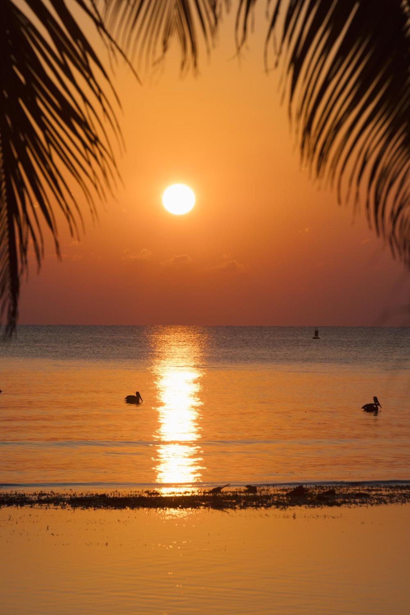 Blue Marlin Beach Resort Dangriga Exteriör bild