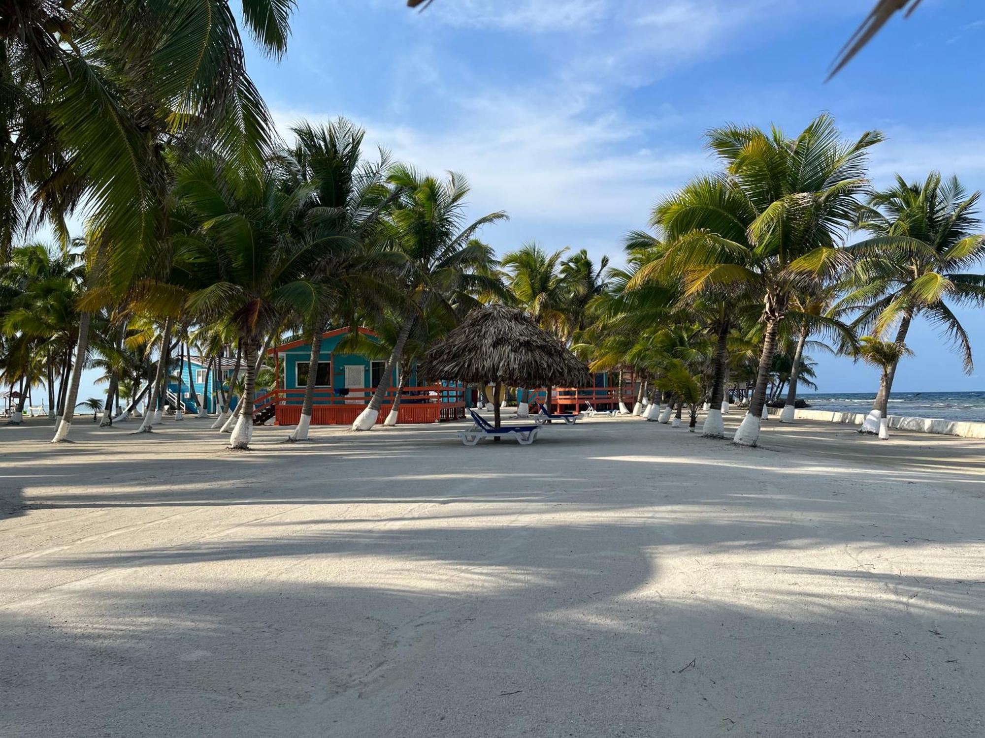 Blue Marlin Beach Resort Dangriga Exteriör bild