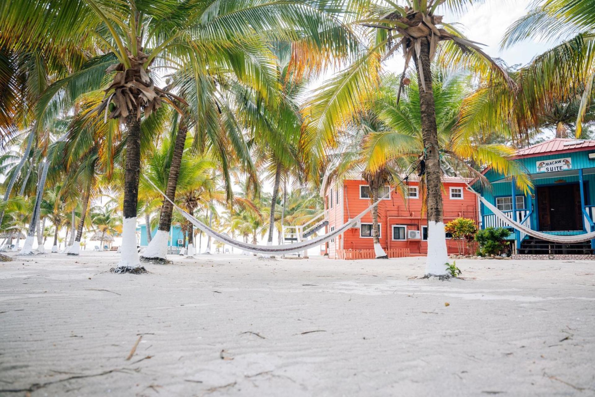 Blue Marlin Beach Resort Dangriga Exteriör bild