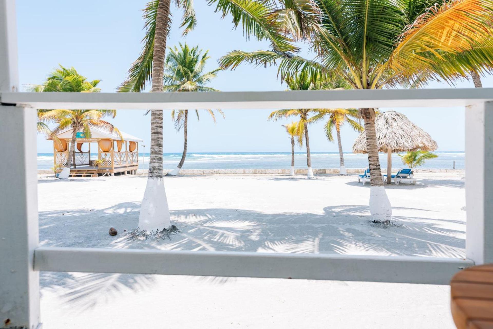 Blue Marlin Beach Resort Dangriga Exteriör bild
