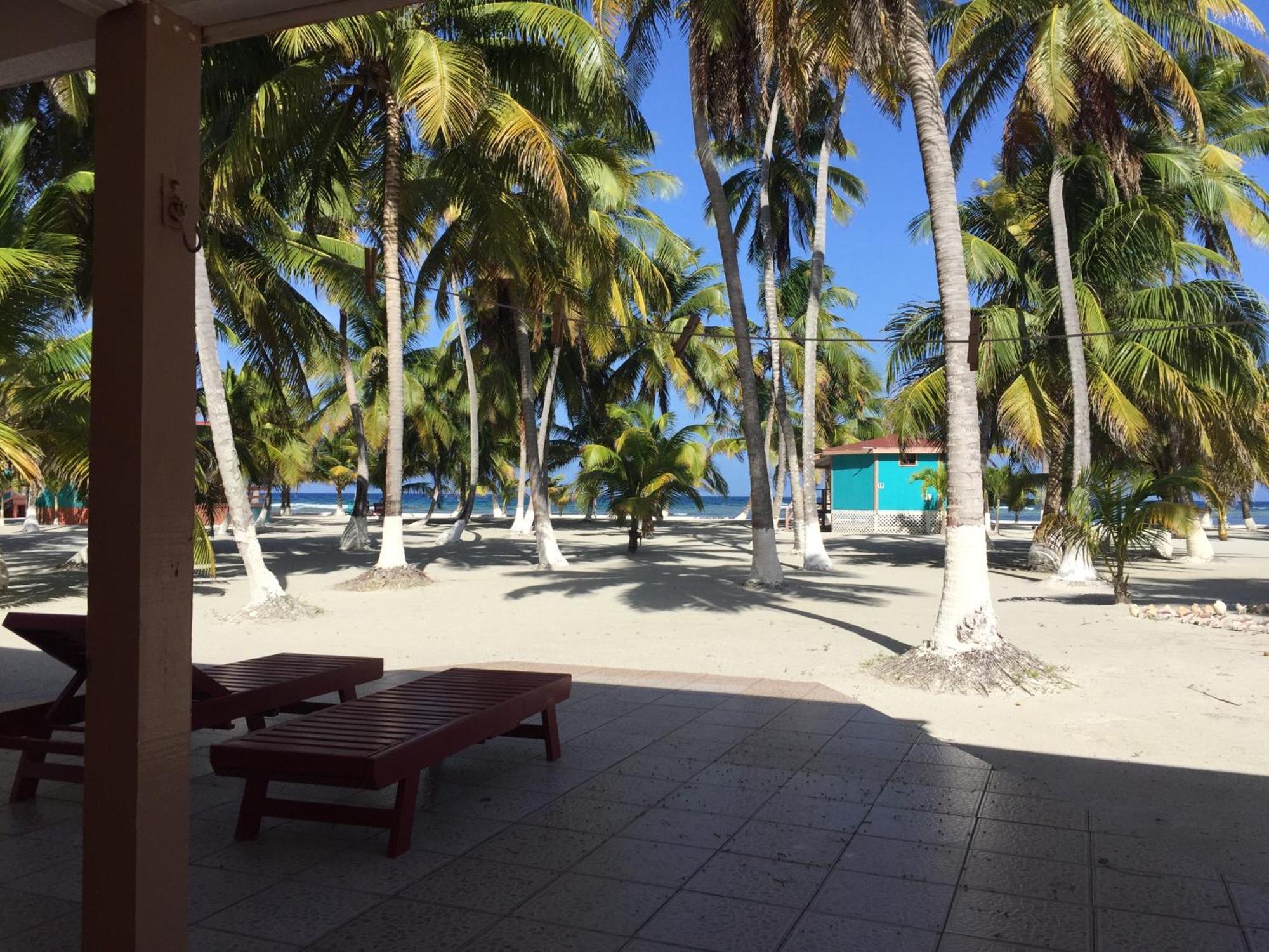 Blue Marlin Beach Resort Dangriga Exteriör bild